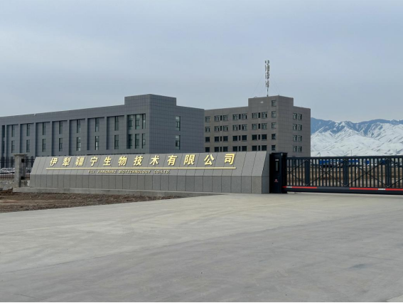 全发国际(集团)有限公司官网