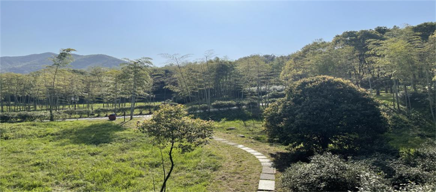 全发国际(集团)有限公司官网